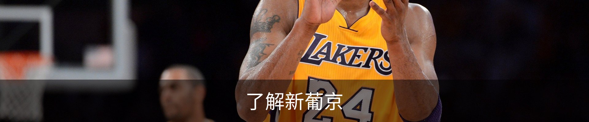 了解新葡京